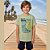 Conjunto Curto Menino Camiseta e Bermuda Surf Vibes -Rei Rex - Imagem 8