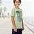 Conjunto Curto Menino Camiseta e Bermuda Surf Vibes -Rei Rex - Imagem 9