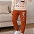 Conjunto Infantil de Moletom Masculino Gamer Menino Inverno Blusa Estampada + Calça Lisa Rei Rex - Imagem 9