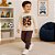 Conjunto Infantil Moletom Grand Prix 95 Menino Rei Rex - Imagem 7