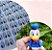 TURMA DO RATINHO, Mickey, Margarida, Donald, Pateta, Plutos - Imagem 2