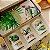 Box 3 velas Giardino - Imagem 1