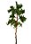 Pine 16 cm - Imagem 1