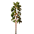 Pinheiro 29 cm - Imagem 1