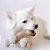 Benebone Wishbone Frango Dog Chew Toy - Imagem 2