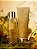 Sliver of Sun Victoria’s Secret Body Splash - Imagem 2