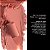 OCEANE BATOM ROSA THE LIPSTICK NUDE PINK 3,2GR - Imagem 4