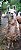 Lhamas adulto Fêmeas- Sitio Refúgio das Aves de Lumiar - Imagem 2