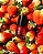 Lip Tint Morango Rubi 8ml - Imagem 1