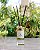 Florescer Premium Difusor de ambiente 350ml - Imagem 1