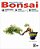 Revista do Bonsai (1ª, 2ª, 3ª, 4ª, 5ª, 6ª e 7ª Edição) - Imagem 6