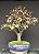 Bonsai Ameixa Roxa  20 anos  65cm - Imagem 1