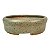 Vaso Bandeja Para Bonsai Redondo Esmaltado Pine 12,5 X 4 cm - Imagem 1