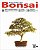Revista do Bonsai (1ª, 2ª, 3ª, 4ª, 5ª, 6ª, 7ª, 8ª, 9ª, 10ª e 11ª Edição) - Imagem 2