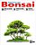 Revista do Bonsai (1ª, 2ª, 3ª, 4ª, 5ª, 6ª, 7ª, 8ª, 9ª, 10ª e 11ª Edição) - Imagem 4