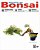Revista do Bonsai (1ª, 2ª, 3ª, 4ª, 5ª, 6ª, 7ª, 8ª, 9ª, 10ª e 11ª Edição) - Imagem 7