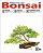Revista do Bonsai (1ª, 2ª, 3ª, 4ª, 5ª, 6ª, 7ª, 8ª, 9ª, 10ª e 11ª Edição) - Imagem 3