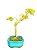 Bonsai de Acer Palmatum 4 Anos ( 29 cm) - Imagem 2