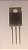 Transistor Buk552-60a  Fet(60a)(enc) - Imagem 1