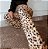 Calça Feminina Pantalona Animal Print Leopardo - Nega Rio - Imagem 3