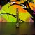 Seda Cone Lion Rolling Circus Gold Hemp - Imagem 3