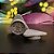 Triturador Squadafum Policarbonato Triangular Grinder Cinza - Imagem 3