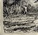 Manaus - Gravura de Edouard Riou, Case Indienne Sur le Bord du Lac Hyanuary - Cabana Indígena à Beira do Lago Hyanuary - Imagem 3