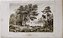 Amazonas - Gravura de 1837, "Lago às Margens do Amazonas", assinada por Danvin, editada por Lemaitre - Imagem 1