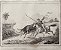 Brasil Império - Goiás – Fleury - Gravura original de 1837, titulada Caça ao Touro - 120523 - Imagem 1