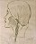 Yoshiya Takaoka - Desenho, Cabeça de Indígena, Assinado e Datado 1954 - Imagem 1