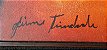 Jaime Trindade - Pintura Óleo S/ Tela Assinado - Imagem de Indio - Imagem 2