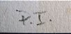 Juarez Magno - Arte em Gravura Assinada, PI, Efemírides II, Libélulas - Imagem 3