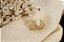 ARGOLA FOLHEADO A OURO 18K COM ZIRCÔNIAS - Imagem 1