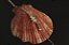 PULSEIRA INFANTIL URSINHO FOLHEADO A OURO 18K - Imagem 1
