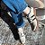 Tênis Feminino Palamós Casual Retrô Listras Conforto - Imagem 6