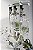 Bong de Vidro  Percolator Hemp Mr.Bob 30cm - Imagem 1