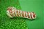 Pipe Glass India Pequeno Cultura Dab - Imagem 2