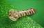 Pipe Glass India Pequeno Cultura Dab - Imagem 1