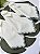 Kit 6 Guardanapos Off White Bordado Verde - Imagem 1