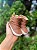 Bota Bebe Burning Wood Tapioca Tip Toye Joye - Imagem 1