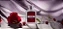 Perfume Gd Girl Red Woman Parfum Brasil 100ml - Imagem 3