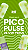 Pico Pulse Uva Verde - INTT - Imagem 2