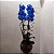 Orquídea Phalaenopsis Azul no Vidro - Imagem 1