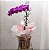 Orquídea Phalaenopsis Roxa no Cachepot de Madeira - Imagem 1