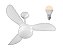 Kit Ventilador Fenix Chave de Parede 110v + 1 Un Lampada 6W Bivolt 3000k Branco Quente - Imagem 1