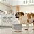 Fonte de Água Multilaser Breeze Water Fountain PP014 2,2L Mimo Tech - Imagem 6
