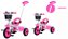 Triciclo Infantil Pedal Passeio Flex Baby Style Rosa 22231 - Imagem 7