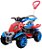 CARRINHO DE PASSEIO OU PEDAL QUADRICICLO SPIDER MARAL - Imagem 2