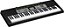 Teclado Musical Casio Basico Digital Preto com Teclas Ilumidanas LK-135K2-BR - Imagem 2