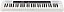 TECLADO MUSICAL CASIO TONE BASICO DIGITAL BRANCO CT-S200WEC2-BR - Imagem 3